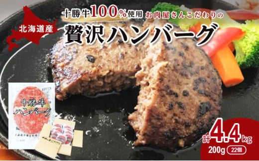 
[№5749-1152]北海道十勝牛手ごねハンバーグ200g×22個
