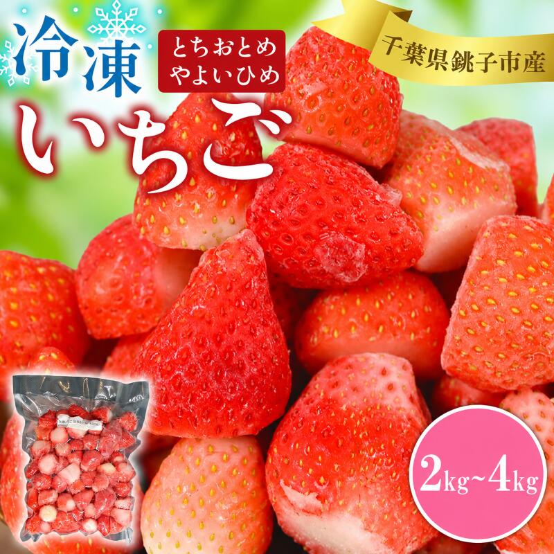 【ふるさと納税】 冷凍いちご 2kg ~ 4kg とちおとめ やよいひめ 銚子 苺 いちご 真空パック 冷凍 フルーツ ジャム いちごジャム ストロベリー スムージー アサイー 果物 トッピング ソース 便利 ふるさと納税 ふるさと納税いちご 送料無料 千葉県 銚子市 神原いちご園