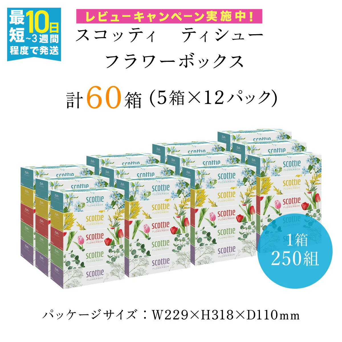 【ふるさと納税】【選べる配送月】スコッティ ティシュー フラワーボックス 250組 60箱 (1ケース5箱×12パック) ボックスティッシュ 箱 ティッシュ ティシュー 長持ち リピート 高品質 素敵 保管 クレシア ティッシュペーパー 日用品 生活必需品 まとめ買い 京都府 FCAS004