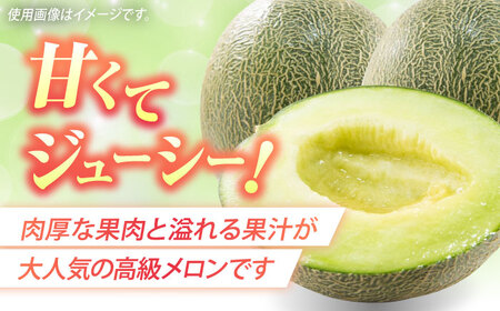 【2025年5月中旬〜発送】肥後グリーンメロン 2玉（合計4kg以上） 果物 フルーツ / 南島原市 / 長崎県農産品流通合同会社[SCB088]