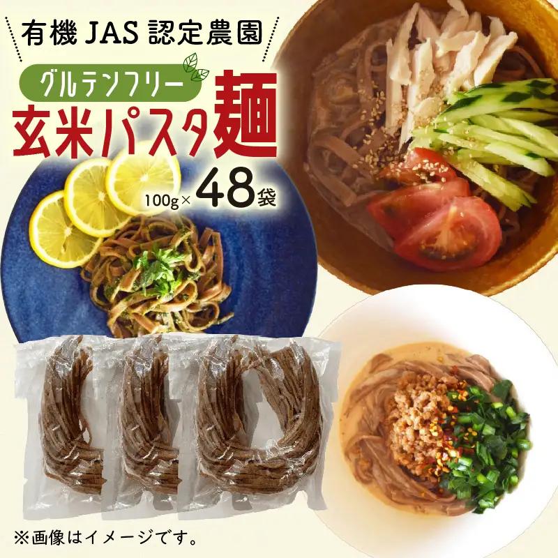 有機グアバ農園のグルテンフリー玄米パスタ麺 100g×48袋セット【グルテン フリー ダイエット 健康 食品  人気 おすすめ 高知県 南国市】