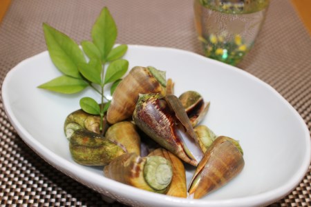 [037007]チャンバラ貝　5kg 