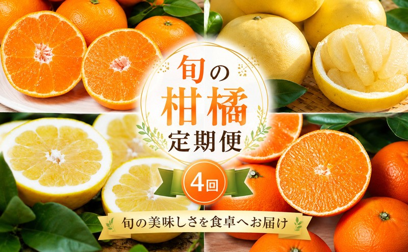 
                  【先行予約】旬の柑橘 定期便 4回 訳あり 愛媛みかん 5kg まどんな 3kg 文旦 7kg 愛南ゴールド 5kg みかん 愛果28号 紅まどんな 河内晩柑 柑橘 かんきつ フルーツ 果物 旬 みかん ミカン 国産 サイズ不揃い 愛媛県 愛南町 愛南町青果市場組合
                