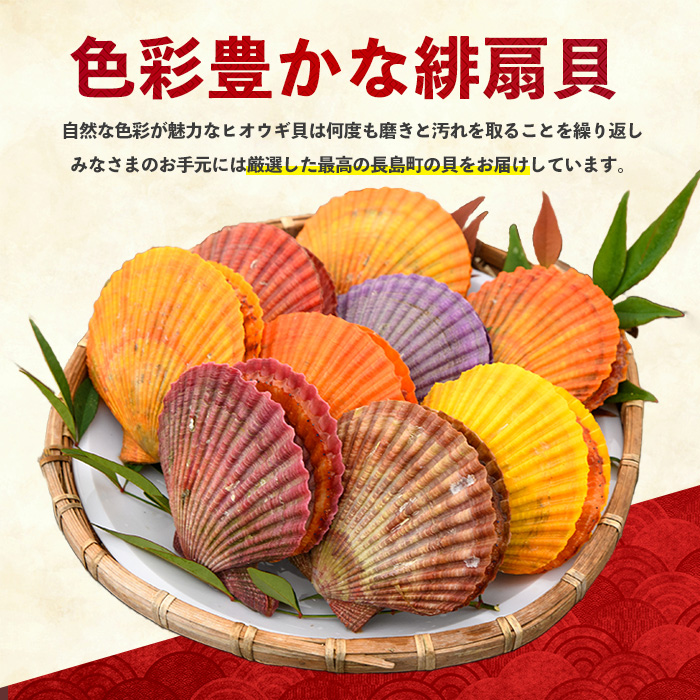 《令和7年11月より順次発送予定》＜期間・数量限定＞長島特産！ヒオウギ貝(20個)【口之福浦ヒオウギ貝出荷グループ】kuchi-861
