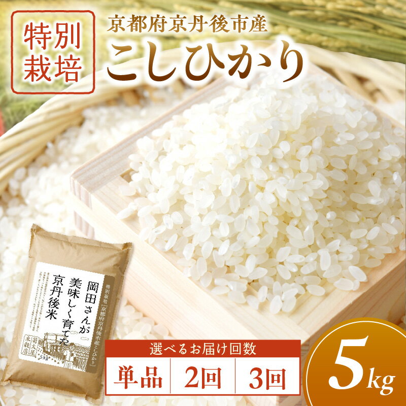 【ふるさと納税】特別栽培 京都府京丹後市産こしひかり 岡田さんが美味しく育てた京丹後米5kg 選べる 回数 定期便 1回 2回 3回 米 お米 特別栽培 国産 ご飯 定期 京都 京丹後 ふるさと納税 米 生産者応援 農家応援 送料無料