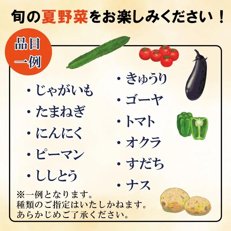 夏野菜 5種 詰め合わせ 野菜