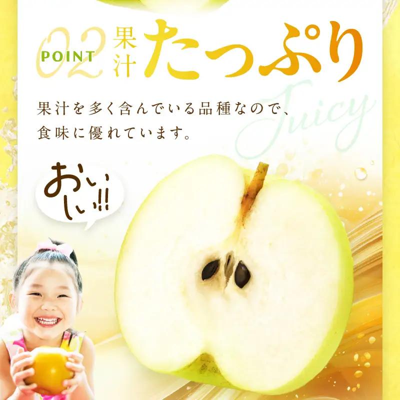 梨 【先行予約／数量限定600】20世紀梨（秀品） 5kg（10～16玉）（2026年8月下旬～発送）フルーツ 果物 梨 なし ナシ 20世紀梨 二十世紀梨 贈答向け