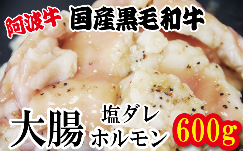 ホルモン 大腸 阿波牛 塩漬け 200g×3パック 小分け 計600g  国産 牛 黒毛和牛 鍋 焼肉 脂 焼き シマチョウ もつ 肉 牛肉 BBQ 【北海道・東北・沖縄・離島への配送不可】