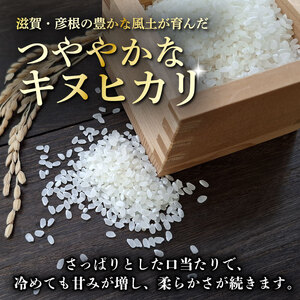 令和7年産 キヌヒカリ 白米 10kg 新米