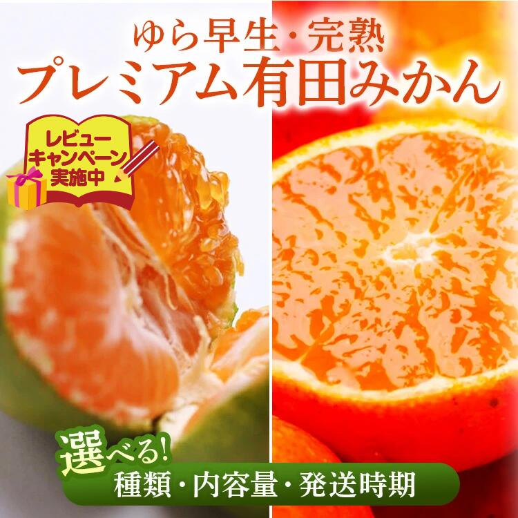 【ふるさと納税】【選べる 種類・内容量・発送時期】 ゆら早生/完熟 プレミアム有田みかん ｜ 柑橘 果物 フルーツ 糖度 甘い 濃厚 コク ジューシー 光センサー ※北海道・沖縄・離島への配送不可
