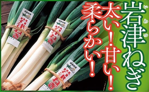 【先行予約】朝来市特産「岩津ねぎ」2㎏（箱入り） 岩津ねぎ 岩津ネギ 新鮮 国産 甘い 太い 柔らかい 香り豊か 幻のねぎ 天ぷら 鍋 焼きねぎ ネギ すき焼き 朝来市 限定 TVで紹介
