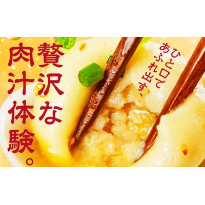 ふるさと納税 豊橋市 【国産】焼き小籠包30個入 |  | 01