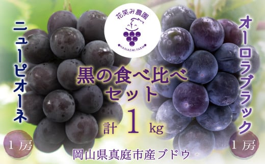 hana32.岡山　花笑み農園の『ニューピオーネ&オーロラブラック』1kg(2房)