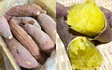 【先行予約 12月中旬以降発送】茨城県産 熟成 壺焼き芋 1kg 冷凍配送｜冷凍焼き芋 やきいも 焼き芋 焼いも スイーツ ダイエット 小分け ギフト プレゼント 国産 無添加 茨城県産 さつまいも 