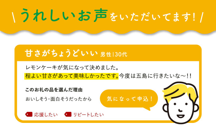 【全3回定期便】レモンケーキ 10個入【 観光ビルはたなか】 [PAX022]