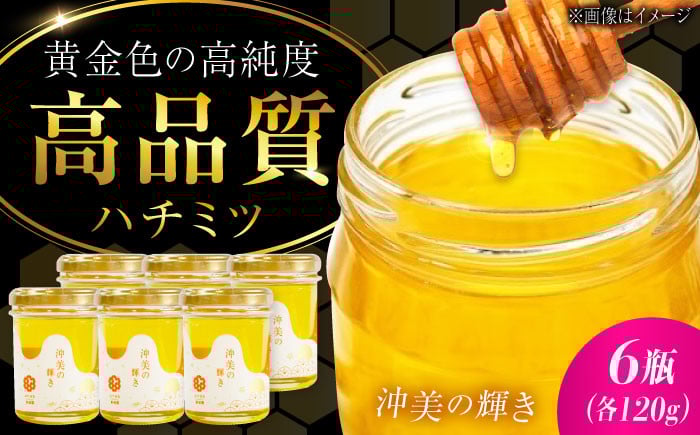 
            江田島産100％ はちみつ 『沖美の輝き』120g×6本セット ハチミツ 蜂蜜 国産 広島 江田島市/はつはな果蜂園 [XCD003] ハチミツ 国産蜂蜜 国産はちみつ 国産純粋はちみつ 蜜 蜂蜜 はちみつ ハニー honey 人気ハチミツ 日本蜜蜂 純粋はちみつ 常温 保存 備蓄 防災食 非常食 保存食 産地直送 国産
          