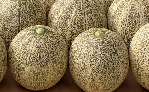 訳あり メロン 品種おまかせ 約4kg （2～7玉） 緑果肉 赤果肉 白果肉 めろん 果物 くだもの フルーツ 国産 九州 熊本県 熊本市 常温 【2026年5月下旬～7月下旬迄順次発送予定】