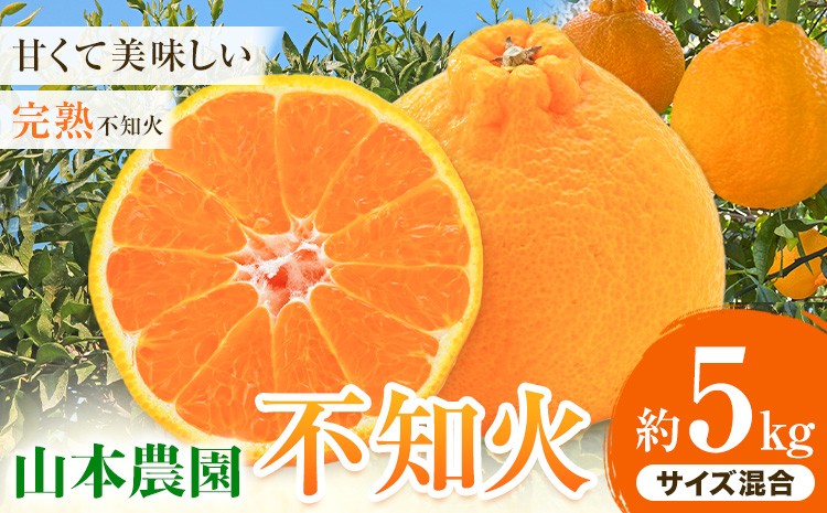 
                  不知火 約5kg (サイズ混合) 山本農園《2027年3月上旬-4月下旬頃出荷》和歌山県 日高川町 柑橘 フルーツ 果物 しらぬい デコポン でこぽん
                