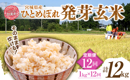 [発芽玄米] 宮城県産ひとめぼれ発芽玄米1kg×12回定期便 菅原商店