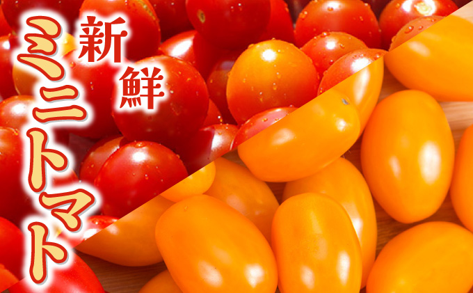 【先行販売】【ファーム雫】食べ比べセット　ミニトマト赤＆オレンジ計２kg【a127-005】