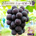 【ふるさと納税】久米南ニューピオーネ2kg以上(4～5房)【配送不可地域：離島・北海道・沖縄県】【1016878】