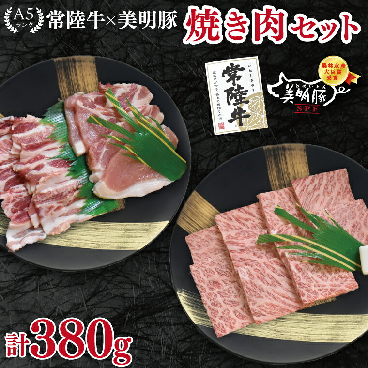 【ふるさと納税】常陸牛 A5ランク・美明豚焼肉セット 常陸牛カルビ180g＋美明豚200g（ロース100g・ばら100g） 冷凍 国産牛 和牛 牛肉 豚肉 ブランド豚 食べ比べ お取り寄せ 老舗精肉店 肉の加治 茨城県 水戸市（EK-22）