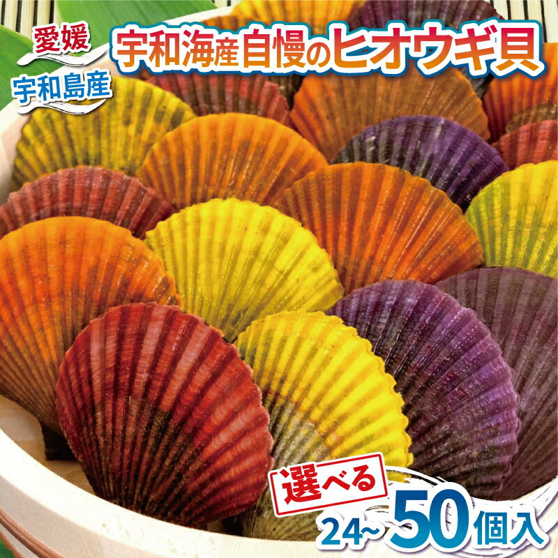 【ふるさと納税】 海の幸 ヒオウギ 貝 選べる 内容量 24個 ~ 50個 羽根 先行予約 BBQ バーベキュー 二枚貝 貝柱 檜扇貝 ヒオウギ貝 海鮮 海産物 特産品 うま味 旨味 アヒージョ チーズ バター 醤油 焼き アレンジ アウトドア キャンプ レシピ 産地直送 国産 愛媛 宇和島
