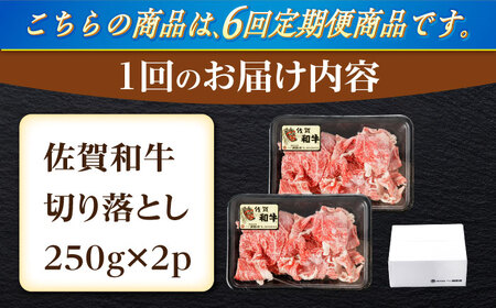 【6回定期便】佐賀和牛 切り落とし 計500g(250g×2p)【一ノ瀬畜産】[NAC163]