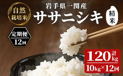 【新米先行予約】令和8年産 新米【毎月定期12回】自然栽培米 ササニシキ 10kg 【精米】