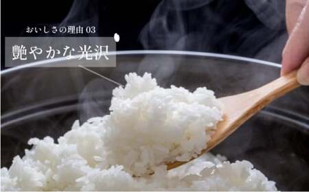 【先行予約】令和7年産 夢しずく 5kg×3回定期便 ／米 お米 返礼品 飯 ごはん 弁当 銘柄米 白米 県産米 佐賀県産 国産米 精米 ブランド米 おにぎり 国産 食品 人気 おすすめ ふるさと納税
