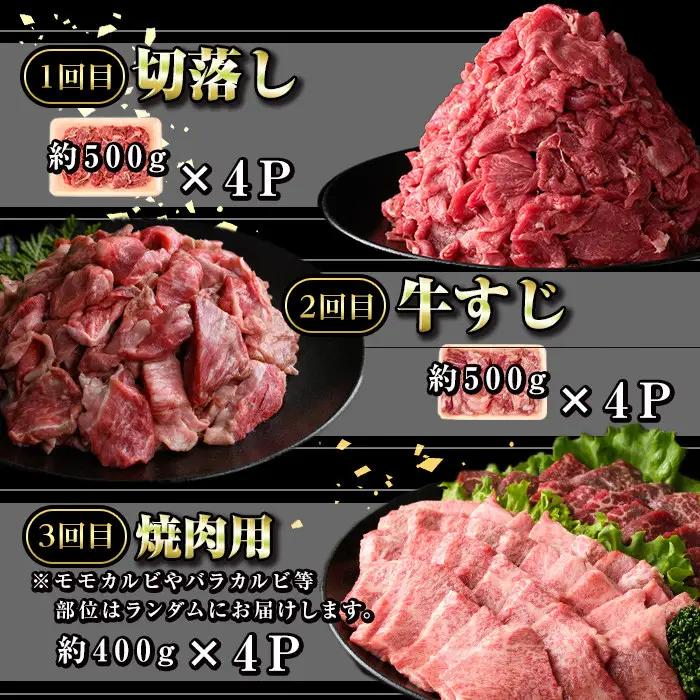 【6回定期便】鹿児島黒牛 満腹セット(全5種・合計10kg) 牛肉【新村畜産】E01009