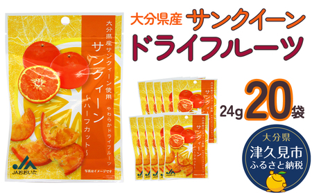 サンクイーンドライフルーツ(24g)×20袋|ドライフルーツ ドライフルーツ ドライフルーツ ドライフルーツ ドライフルーツ