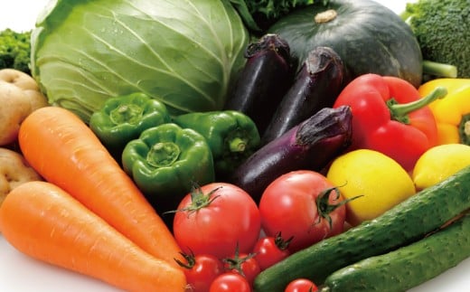 朝採れ 新鮮 野菜 セット 種類おまかせ 旬 やさい yasai ヤサイ 野菜セット やさいセット 旬の野菜 お野菜 栽培 自然 春野菜 夏野菜 秋野菜 冬野菜 おまかせ 数量限定 農家直送 産地直送 マルシェ トマト さつまいも サツマイモ とうもろこし コーン 神奈川 湘南 藤沢 フロムベジ湘南