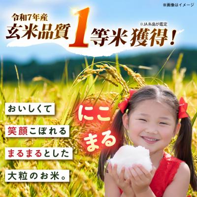 ふるさと納税 糸島市 【全12回定期便】 にこまる 玄米品質1等米 白米 5kg 糸島市産 [AGR010] |  | 01