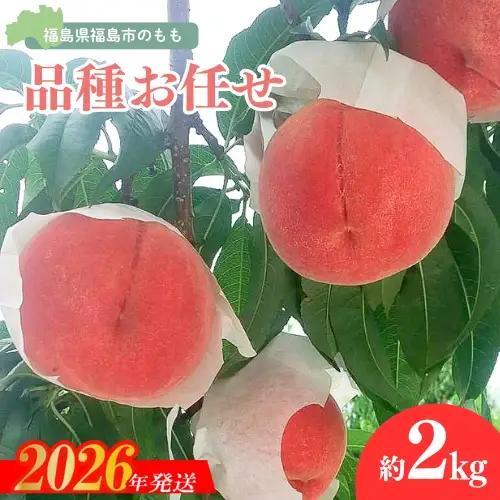 No.3112 福島の桃 約2kg品種・玉数おまかせ【2026年発送】