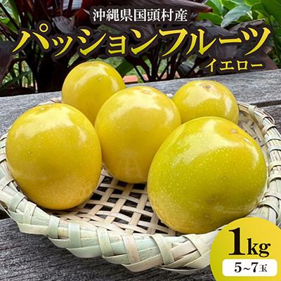 ふるさと納税 国頭村 【2026年5月から順次発送】国頭村産パッションフルーツ イエロー1kg(5〜7玉)