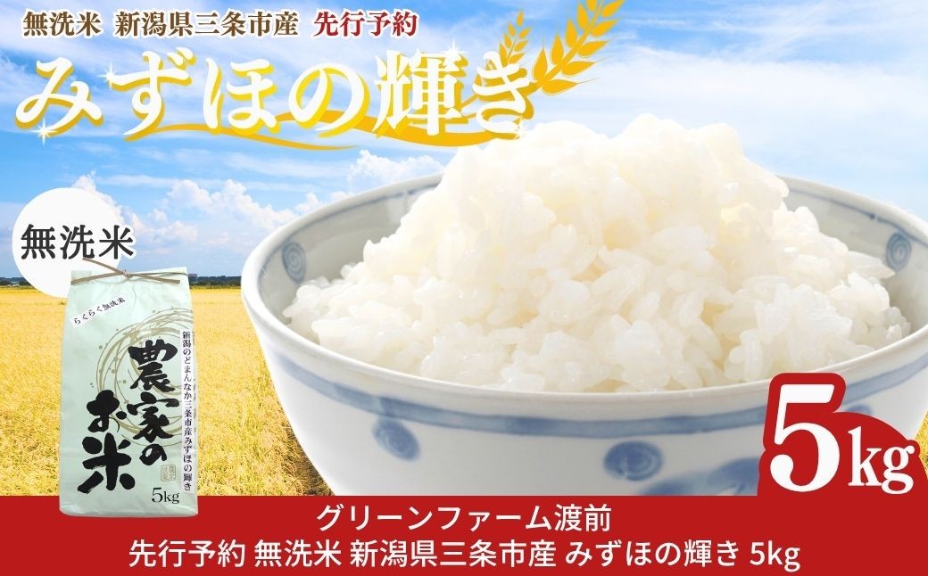 
                  先行予約 新潟県三条市産 みずほの輝き 無洗米 5kg [グリーンファーム渡前] 令和8年産 2026年産 米 新潟県 みずほのかがやき【015S180】
                