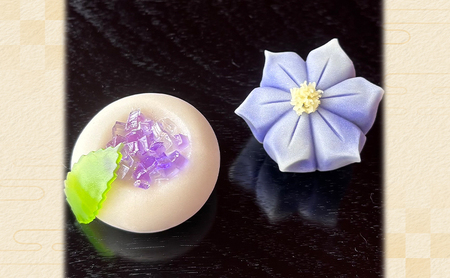創業明治44年［菓子司 万寿堂］季節の上生菓子 おまかせ10種（計10個） 秋田 羽後 西馬音内 【菓子 和菓子 生菓子 上生菓子 スイーツ かわいい 高級 老舗 お取り寄せ ギフト】