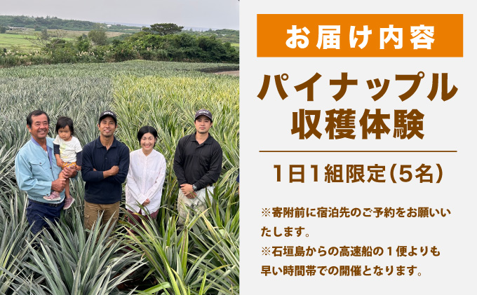 パイナップル収穫体験【5名】爽やかな朝日を浴びた中での開催♪（4月25日〜6月15日開催）