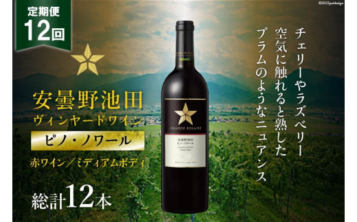 
ワイン 赤 定期便 12回 サッポロ グランポレール 安曇野池田ヴィンヤード「ピノ・ノワール」750ml 総計12本 赤ワイン ミディアムボディ ギフト プレゼント 贈答 / 池田町ハーブセンター / 長野県 池田町
