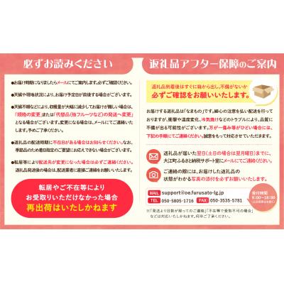 ふるさと納税 大江町 《先行受付》すもも(プラム)約4kg 2種以上【2025年8月中旬頃〜発送予定】001-076 |  | 03