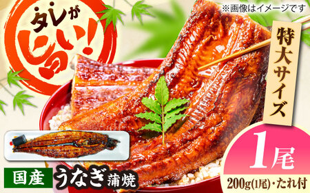 【 うなぎの蒲焼き 】国産うなぎの蒲焼（1尾） [AICQ002] 