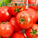 【ふるさと納税】＜早期予約・数量限定＞北海道ニセコ町 贅沢トマト4kg【2025年産】【32005】
