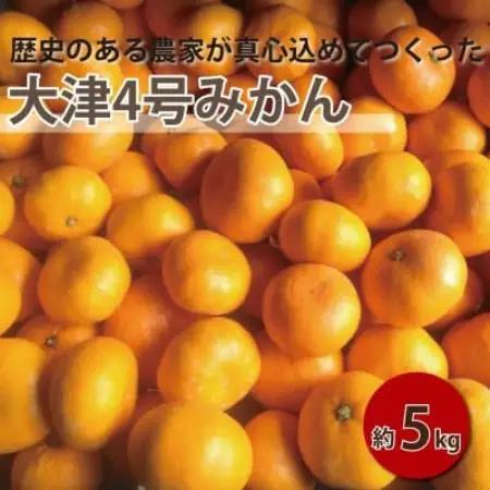 【2027年1月順次発送!】100年以上続くみかん農家がつくる「みかん(大津4号)」約5kg【配送不可地域：離島】【1738393】