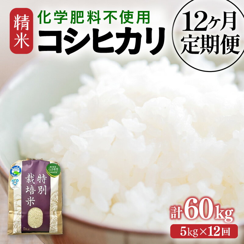 【ふるさと納税】【先行予約】【選べる年産：令和7年産 / 令和8年産】定期便 ≪12ヶ月連続お届け≫ 化学肥料不使用 特別栽培米 コシヒカリ 精米 5kg × 12回（合計60kg）/ 白米 米 美味しい 特別栽培米 減農薬 旨味 甘み もっちり 冷蔵保管米 ※2026年10月上旬以降発送予定