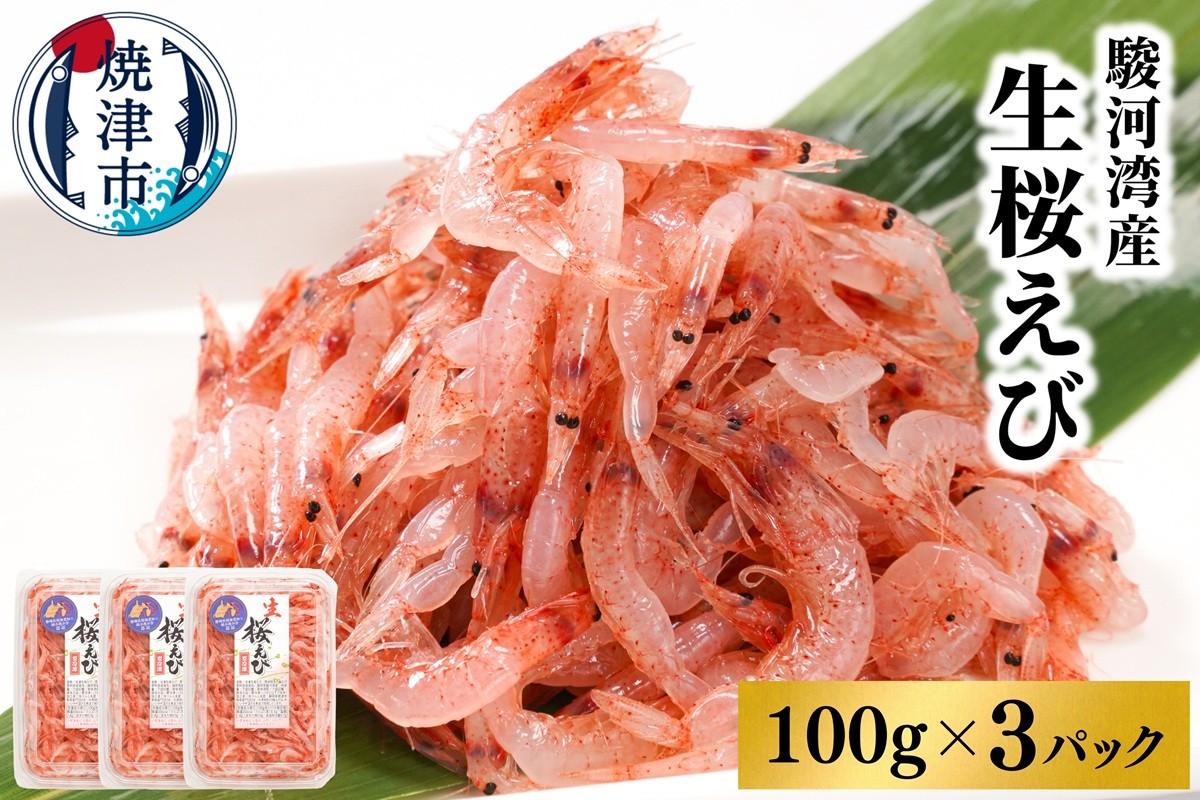 
            a10-679　焼津特選 生桜えび100g×3 えび 海老 エビ 桜エビ 冷凍 国産 生食 小分け 焼津
          