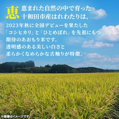 ふるさと納税 十和田市 【令和7年産】青森県産はれわたり30kg(玄米) |  | 02