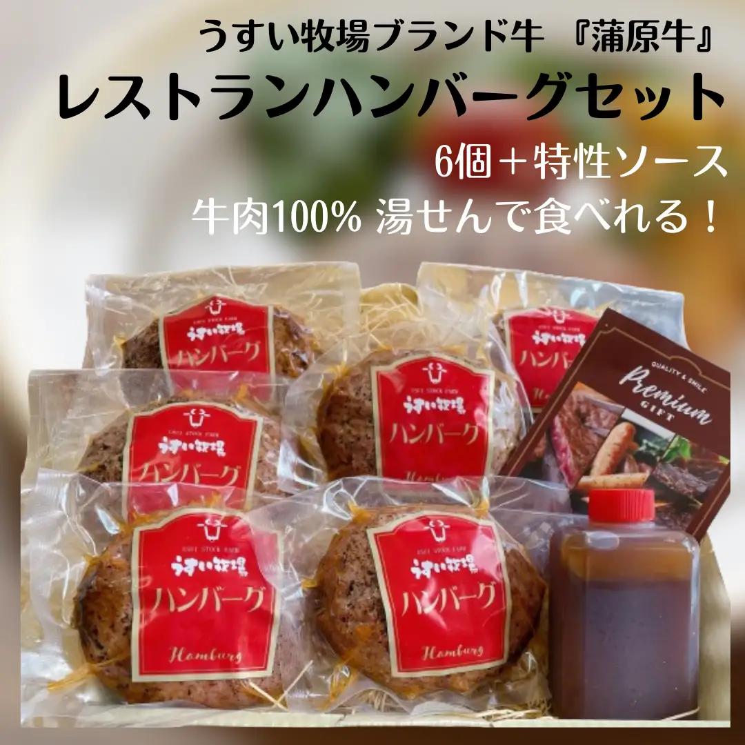 蒲原牛 レストラン ハンバーグ セット (6個)  ハンバーグソース 付き 湯煎 電子レンジ 父の日 1T04016