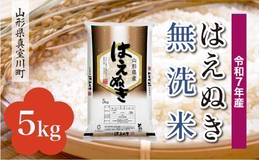 ＜令和7年産米＞ はえぬき 【無洗米】5kg （5kg×1袋）＜配送時期指定可＞　山形県真室川町