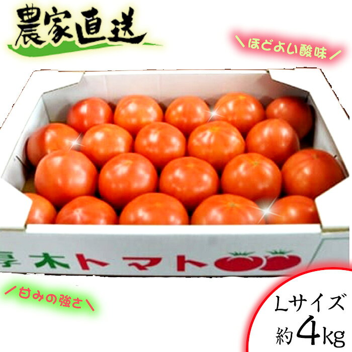 【ふるさと納税】農家直送！　トマト　Lサイズ　約4kg ／ とまと 農園 かながわブランド 神奈川県